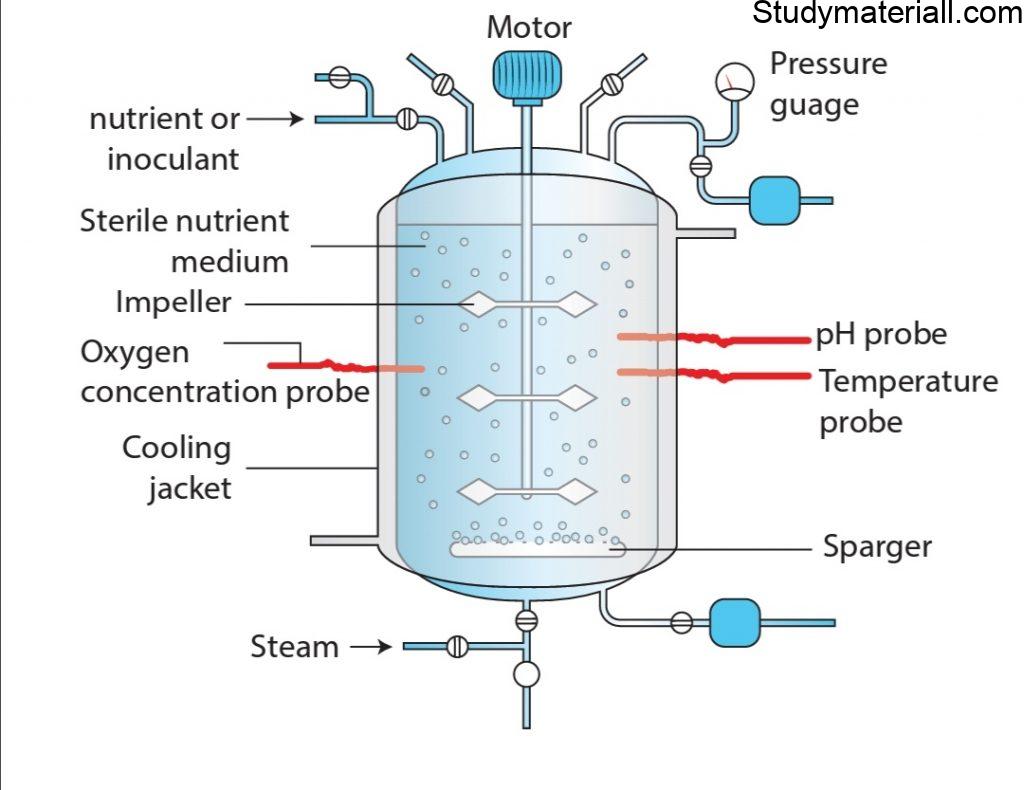 What Is Fermentation Fermentation Process In Biotechnology Study
