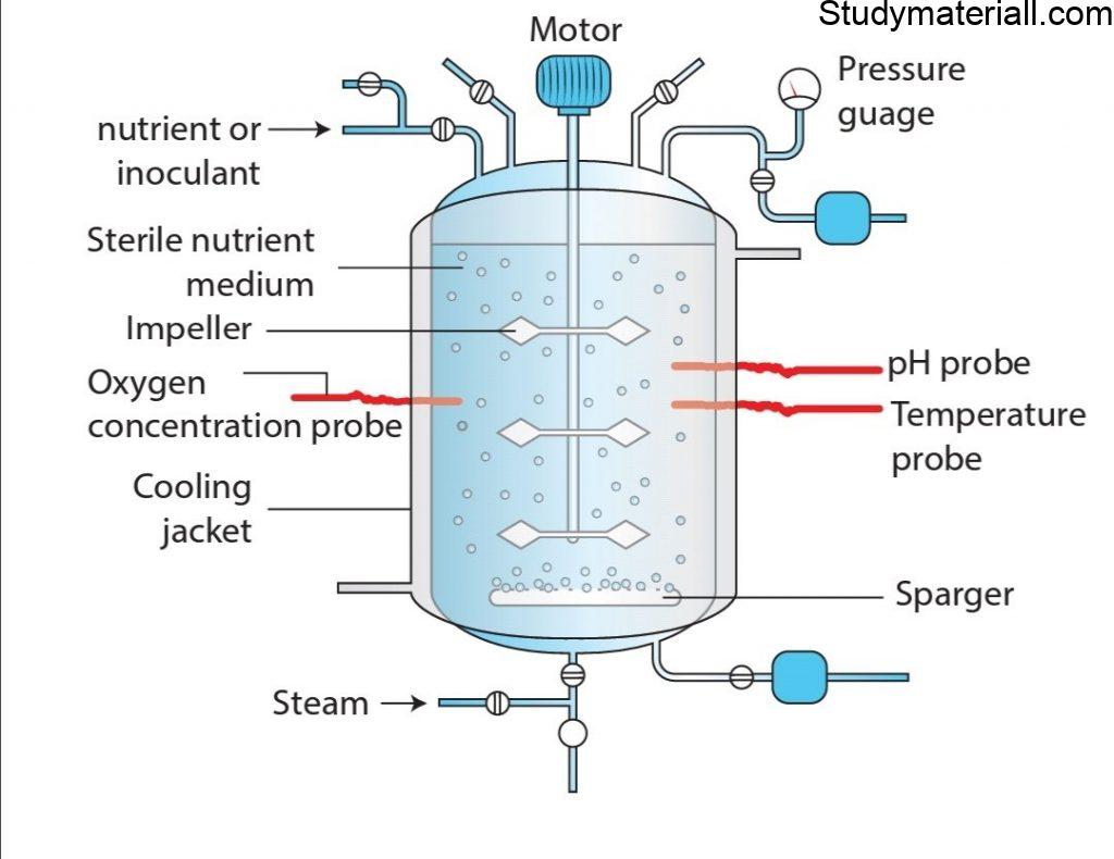 What Is Fermentation - Fermentation Process In Biotechnology - Study ...